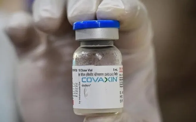 Vắc xin Covaxin của Ấn Độ được Bộ Y tế phê duyệt khẩn cấp
